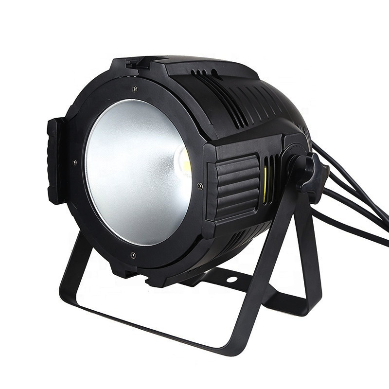 200W COB PAR LIGHT(HPC-110)