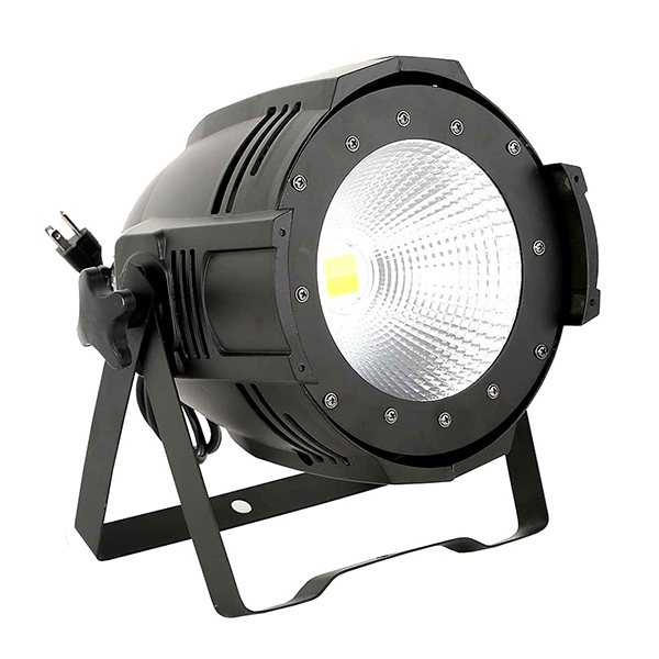 100W COB PAR LIGHT